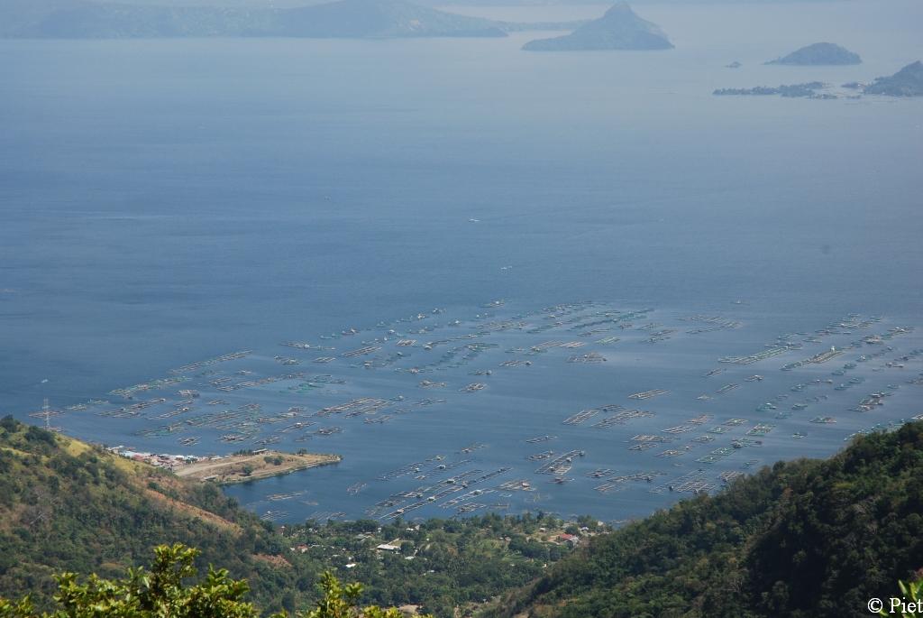 DSC_6000 (241)0167 